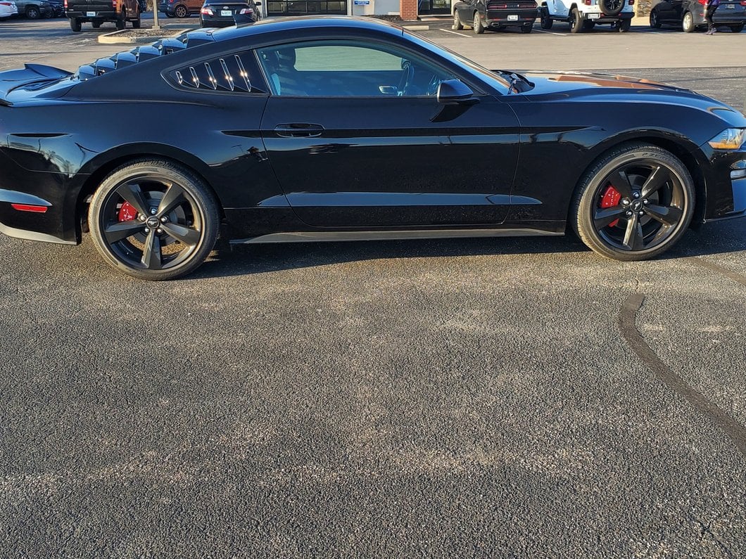 MP Concepts GT350 Track Pack Style Rear Spoiler; Gloss Black (15-23 Mustang Fastback)
