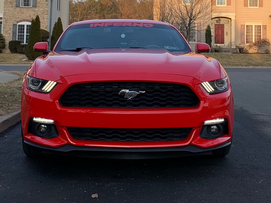 MP Concepts LED Sequential Turn Signals (15-17 Mustang)