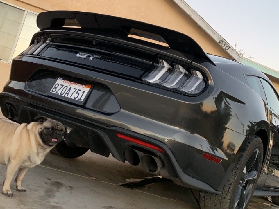 MP Concepts GT500 Style Rear Spoiler; Primed (15-23 Mustang Fastback)