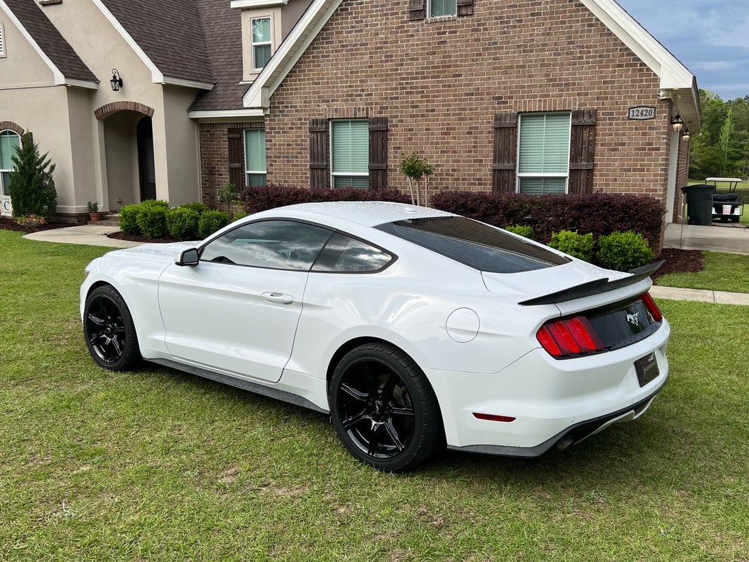 MP Concepts V-Style Rear Spoiler; Matte Black (15-23 Mustang Fastback)
