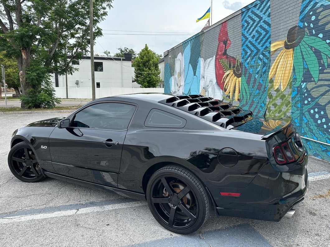 MP Concepts Rear Window Louvers; Gloss Black (05-14 Mustang Coupe)