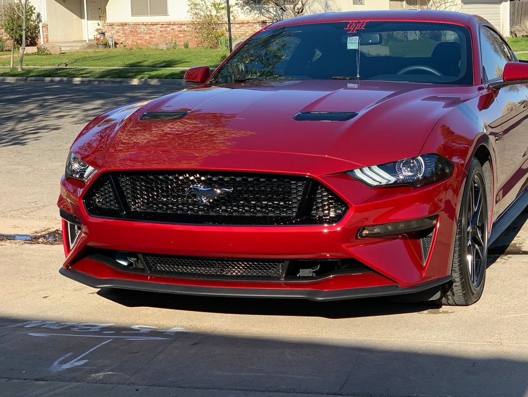 MP Concepts Lower Grille; Black (18-23 Mustang GT, EcoBoost)