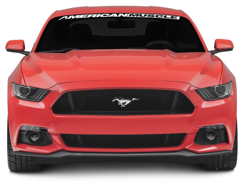 MP Concepts LED Turn Signals; Smoked (15-17 Mustang)