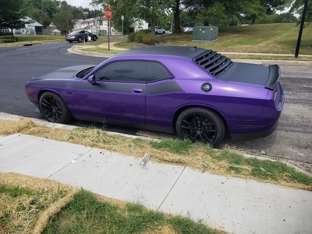 MP Concepts Rear Window Louvers; Matte Black (08-23 Challenger)