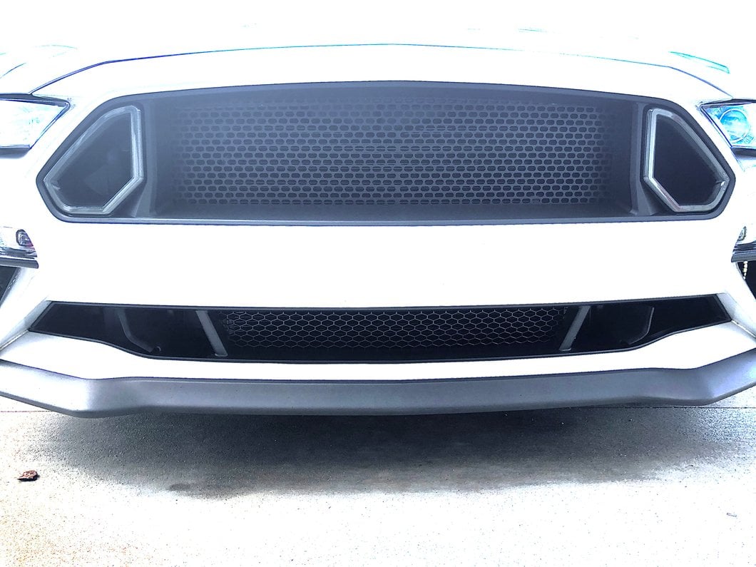 MP Concepts Lower Grille; Black (18-23 Mustang GT, EcoBoost)