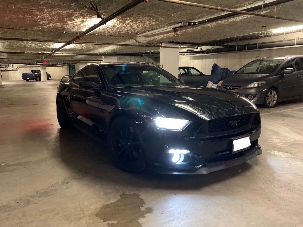 MP Concepts LED Turn Signals; Smoked (15-17 Mustang)