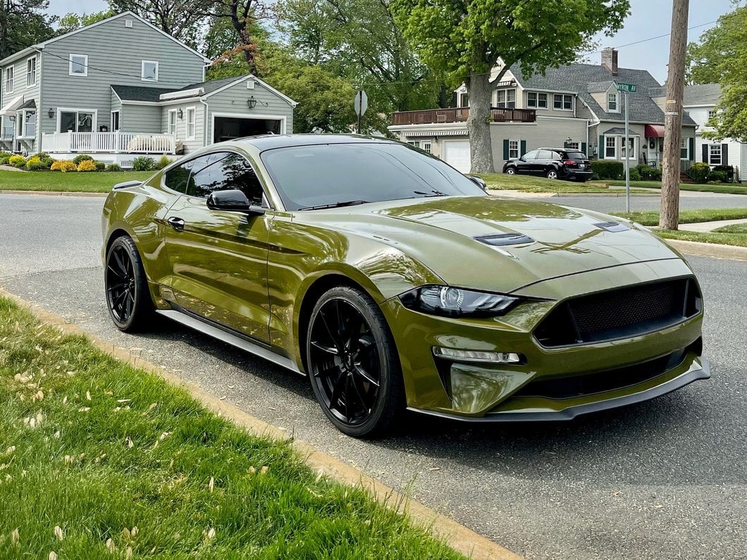 MP Concepts Lower Grille; Black (18-23 Mustang GT, EcoBoost)